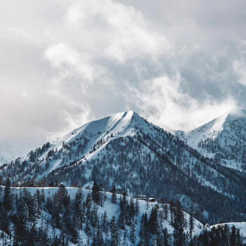 Nuovo Consiglio di Amministrazione per la V&F