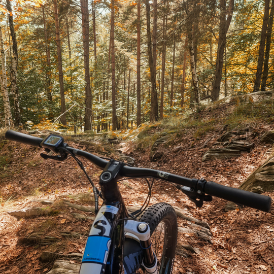 Tour del Foliage e Castagnata