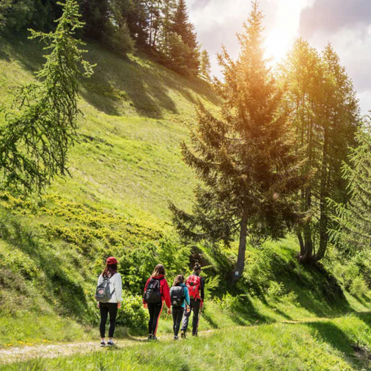 Trail of the three peaks of the Vigezzo Valley - Date 13/08